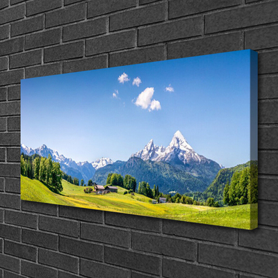 Quadro su tela Paesaggio di montagna di campi di alberi