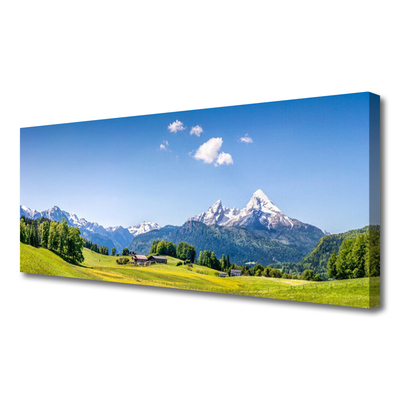 Quadro su tela Paesaggio di montagna di campi di alberi