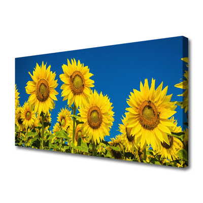 Quadro su tela Girasoli Pianta