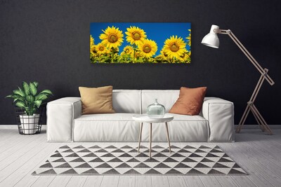 Quadro su tela Girasoli Pianta