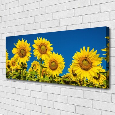 Quadro su tela Girasoli Pianta