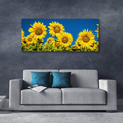 Quadro su tela Girasoli Pianta