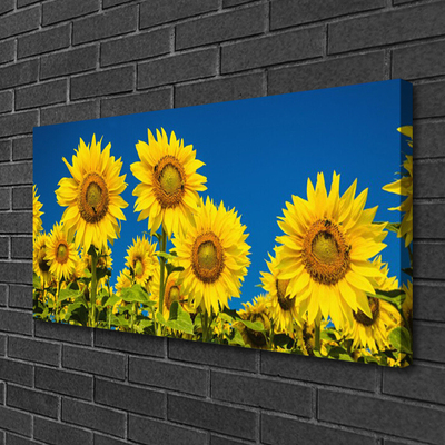 Quadro su tela Girasoli Pianta