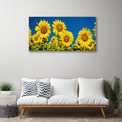 Quadro su tela Girasoli Pianta