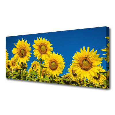 Quadro su tela Girasoli Pianta