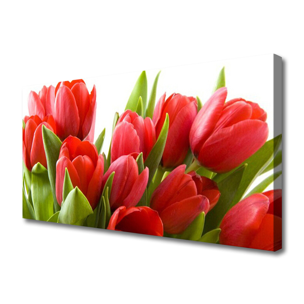 Quadro su tela Tulipani, fiori, piante