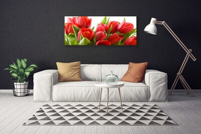 Quadro su tela Tulipani, fiori, piante