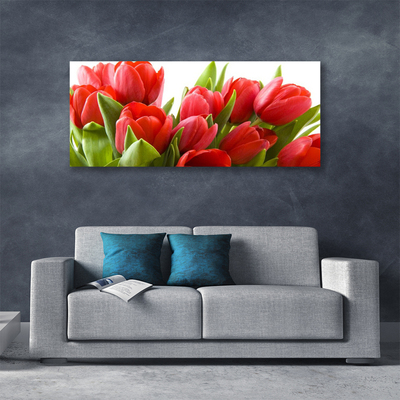 Quadro su tela Tulipani, fiori, piante