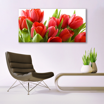 Quadro su tela Tulipani, fiori, piante