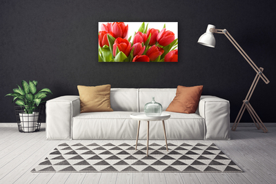 Quadro su tela Tulipani, fiori, piante