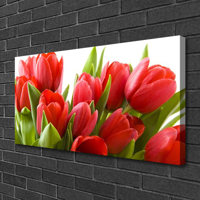 Quadro su tela Tulipani, fiori, piante