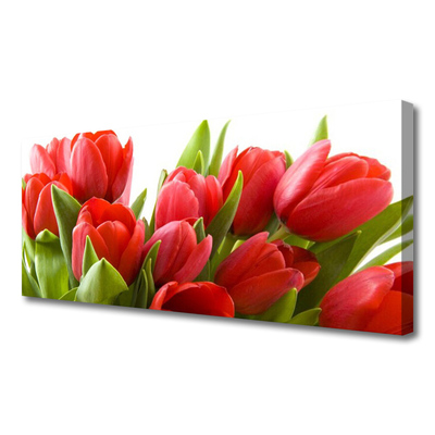 Quadro su tela Tulipani, fiori, piante