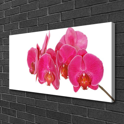 Quadro su tela I fiori della pianta