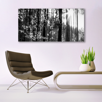 Foto quadro su tela Alberi della natura della foresta