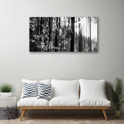 Foto quadro su tela Alberi della natura della foresta