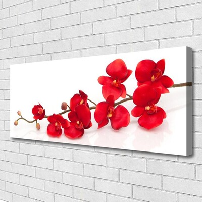 Quadro su tela I fiori della pianta