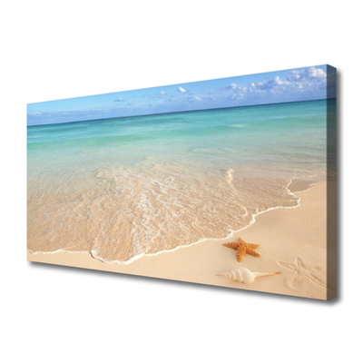 Quadro su tela Paesaggio della spiaggia delle stelle marine