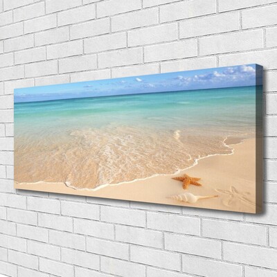 Quadro su tela Paesaggio della spiaggia delle stelle marine