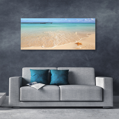 Quadro su tela Paesaggio della spiaggia delle stelle marine