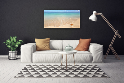 Quadro su tela Paesaggio della spiaggia delle stelle marine