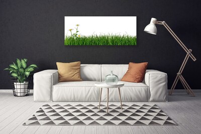 Foto quadro su tela Erba Natura Pianta