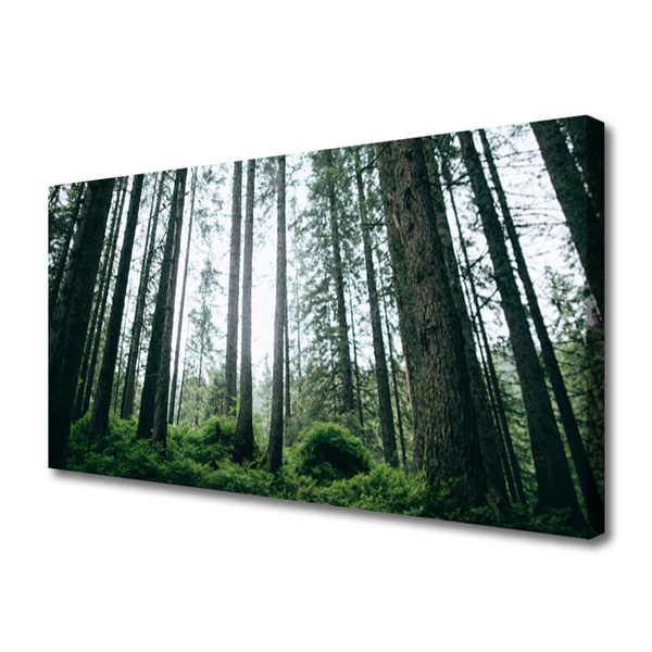 Quadro su tela Alberi della natura della foresta