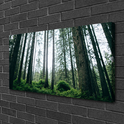 Quadro su tela Alberi della natura della foresta