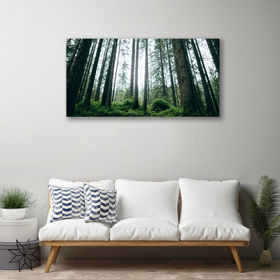 Quadro su tela Alberi della natura della foresta