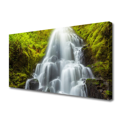 Quadro su tela Cascata della natura