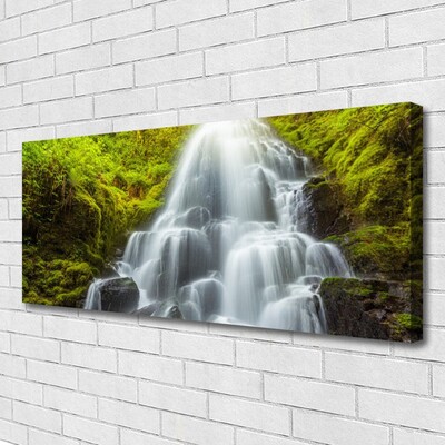 Quadro su tela Cascata della natura