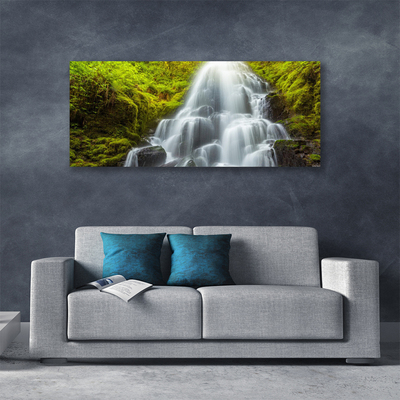 Quadro su tela Cascata della natura