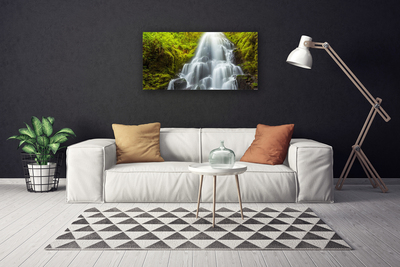 Quadro su tela Cascata della natura