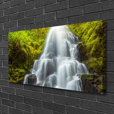 Quadro su tela Cascata della natura