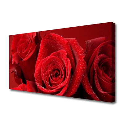 Quadro su tela Fiori di rose