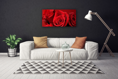 Quadro su tela Fiori di rose