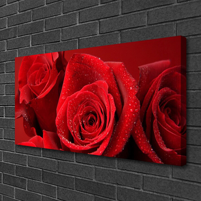 Quadro su tela Fiori di rose