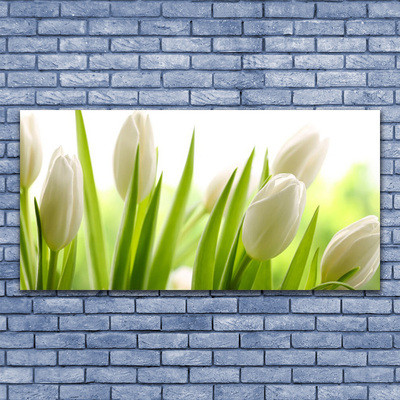 Quadro stampa su tela Fiori di tulipani