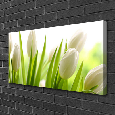 Quadro stampa su tela Fiori di tulipani