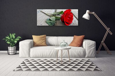 Foto quadro su tela Fiori di rose