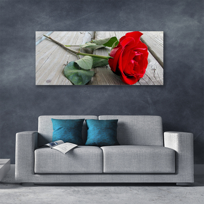 Foto quadro su tela Fiori di rose