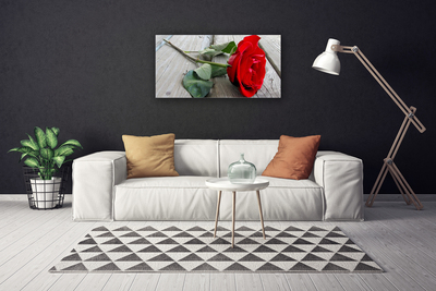 Foto quadro su tela Fiori di rose