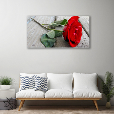 Foto quadro su tela Fiori di rose