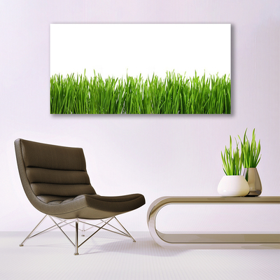 Quadro su tela Erba Natura Pianta