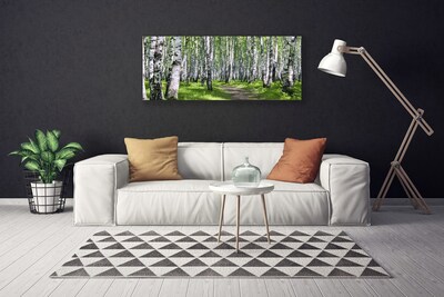 Stampa quadro su tela Alberi del percorso della natura della foresta