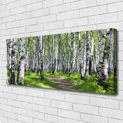 Stampa quadro su tela Alberi del percorso della natura della foresta