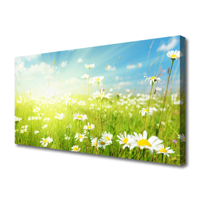 Quadro su tela Prato Daisy Natura