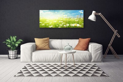 Quadro su tela Prato Daisy Natura