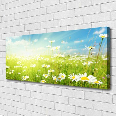 Quadro su tela Prato Daisy Natura