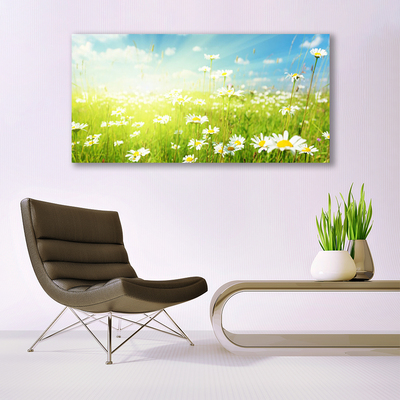 Quadro su tela Prato Daisy Natura