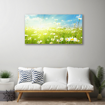 Quadro su tela Prato Daisy Natura